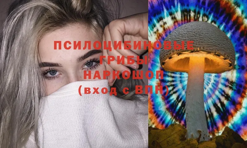 Галлюциногенные грибы Magic Shrooms  Зеленокумск 